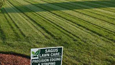 Professional lawn striping and edging showcasing precise mowing results in Saugus, MA lawn care